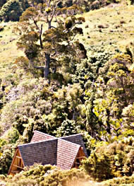 House & studio Hokianga web