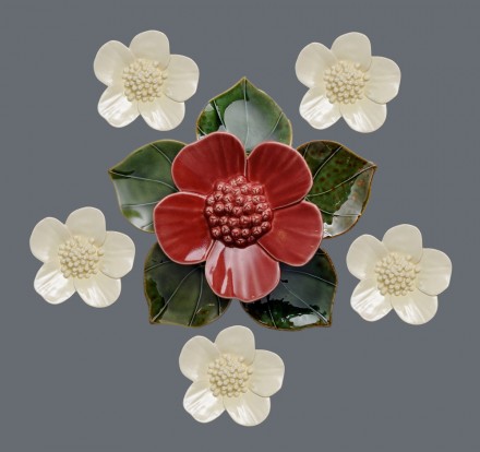 Red ribbonwood flower with soda green heart leaves and white ribbonwood