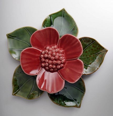 Medium Ribbonwood Flower Red Soda Green Heart Leaves