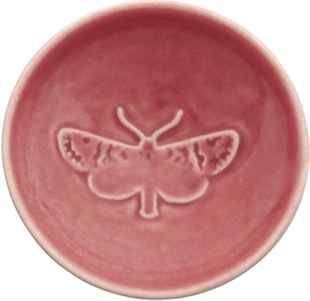 Dip Bowl Puriri Moth