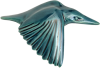 Kingfisher (wings down)
