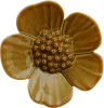 Ribbonwood Flower