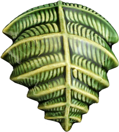 Icon Fern