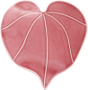 Icon Kawakawa (Heart Leaf)