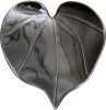 Icon Kawakawa (Heart Leaf)