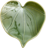 Icon Kawakawa (Heart Leaf)