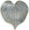 Icon Kawakawa (Heart Leaf)