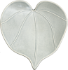 Icon Kawakawa (Heart Leaf)