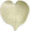 Icon Kawakawa (Heart Leaf)