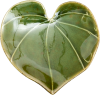 Icon Kawakawa (Heart Leaf)