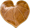 Icon Kawakawa (Heart Leaf)