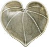 Icon Kawakawa (Heart Leaf)