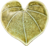 Icon Kawakawa (Heart Leaf)