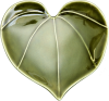 Icon Kawakawa (Heart Leaf)