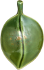 Icon Leaf