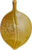 Icon Leaf