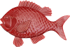 Wall Fish Moki