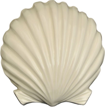 Wall Scallop