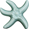 Wall Star Fish