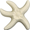 Wall Star Fish