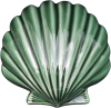 Wall Scallop