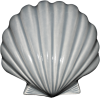 Wall Scallop