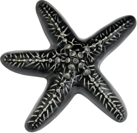 Wall Star Fish