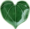 Icon Kawakawa (Heart Leaf)