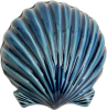 Wall Scallop