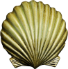 Wall Scallop