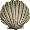 Wall Scallop