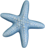 Wall Star Fish