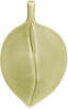 Icon Leaf