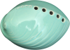 Paua