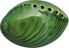 Paua