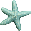 Wall Star Fish