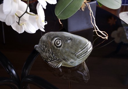 Trophy Snapper on table