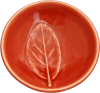 Dip Bowl Leaf Taraire