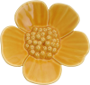 Ribbonwood Flower