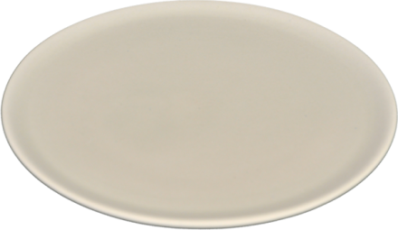 Large Dinner Plate