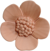 Ribbonwood Flower