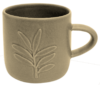 Cup Kauri