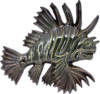 Wall Lion Fish