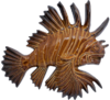 Wall Lion Fish