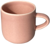 Steiner Cup