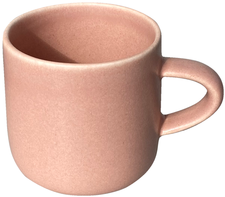  Steiner Cup 