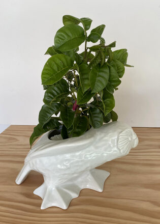 Kakapo Vase