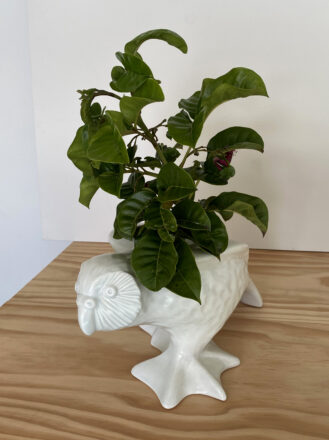 Kakapo Vase