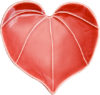 Icon Kawakawa (Heart Leaf)