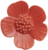 Ribbonwood Flower